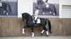 LeMieux Loire Classic Dressage Square White