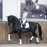 LeMieux Loire Classic Dressage Square White